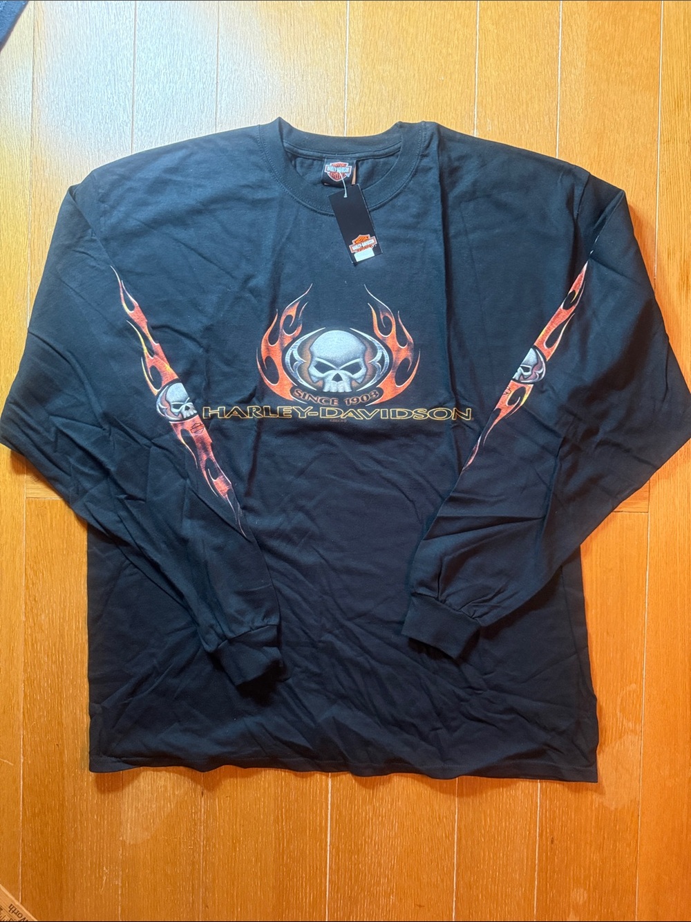 Men’s Harley-Davidson Black Long Sleeve Tee with Flame Skull Graphics 2XL